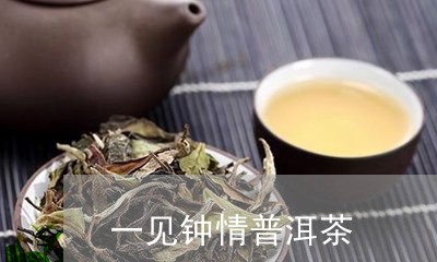 一见钟情普洱茶/2023102618350