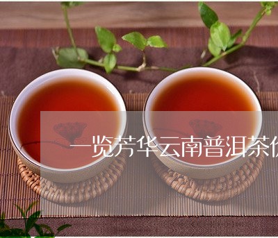 一览芳华云南普洱茶价格/2023120717282