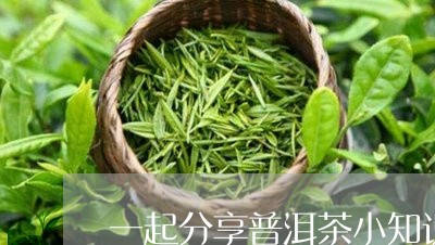 一起分享普洱茶小知识/2023061935829