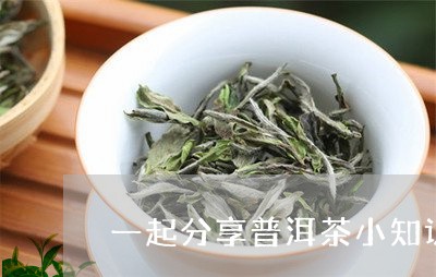 一起分享普洱茶小知识/2023093070693