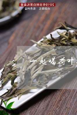 一起喝荷叶茶和普洱茶/2023093020472