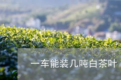 一车能装几吨白茶叶/2023071421583