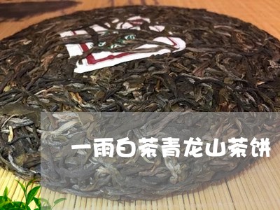 一雨白茶青龙山茶饼/2023071437369