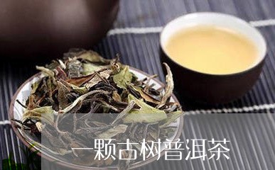 一颗古树普洱茶/2023101696149