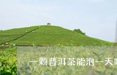 一颗普洱茶能泡一天吗/2023092548581