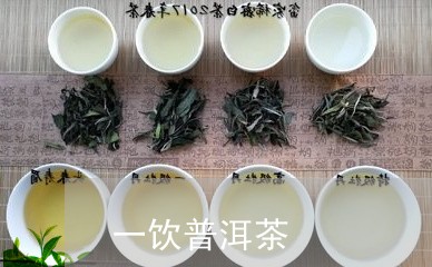 一饮普洱茶/2023102515029