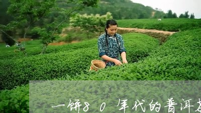 一饼80年代的普洱茶/2023072241704