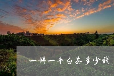 一饼一年白茶多少钱/2023071497158