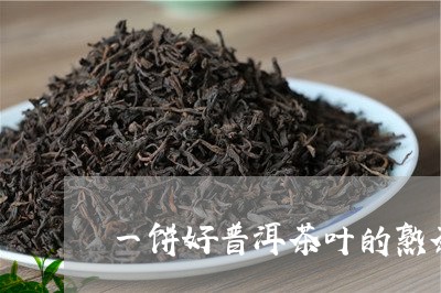 一饼好普洱茶叶的熟茶/2023092840504