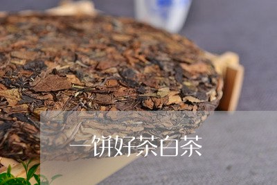 一饼好茶白茶/2023051255958