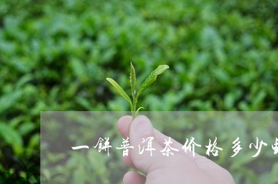 一饼普洱茶价格多少钱/2023092821492