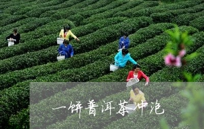 一饼普洱茶冲泡/2023112626392