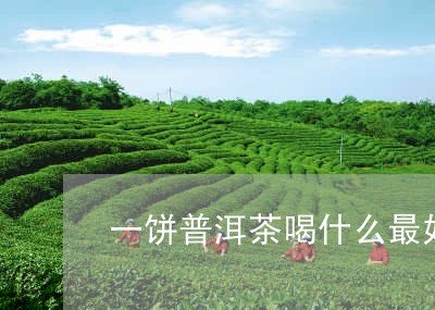 一饼普洱茶喝什么最好/2023092956148