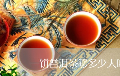 一饼普洱茶够多少人喝/2023092654717