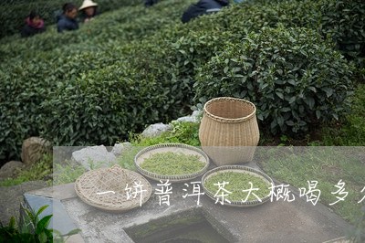 一饼普洱茶大概喝多久/2023062337260