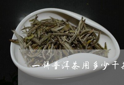 一饼普洱茶用多少干茶/2023062329516