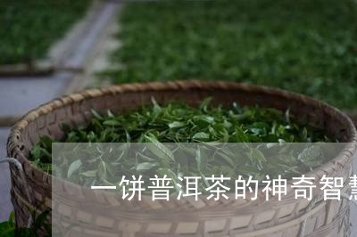 一饼普洱茶的神奇智慧/2023062118493