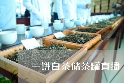 一饼白茶储茶罐直播/2023081151816