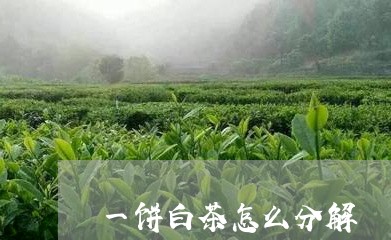 一饼白茶怎么分解/2023061508203