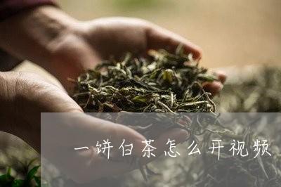 一饼白茶怎么开视频/2023081148270