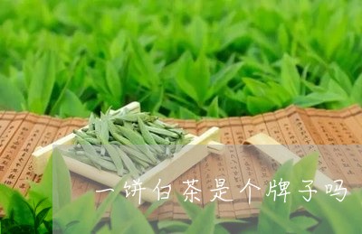 一饼白茶是个牌子吗/2023071448270