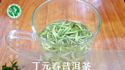 丁元春普洱茶/2023042502342