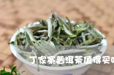 丁家寨普洱茶值得买吗/2023072318592