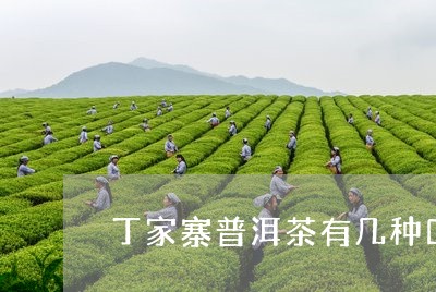 丁家寨普洱茶有几种口味/2023050446372