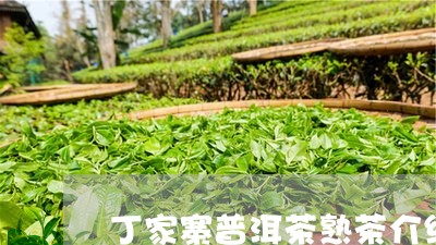 丁家寨普洱茶熟茶介绍/2023120624928