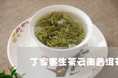 丁家寨生茶云南普洱茶/2023120689503