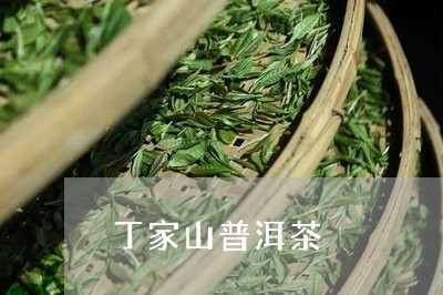 丁家山普洱茶/2023042715212