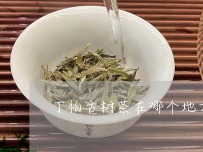 丁帕古树茶在哪个地方/2023071679481