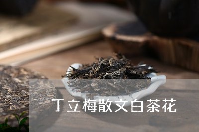 丁立梅散文白茶花/2023061513946