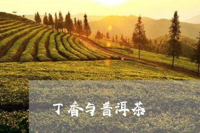 丁香与普洱茶/2023042844377