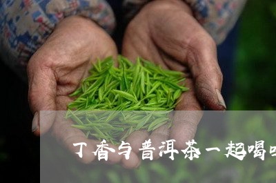 丁香与普洱茶一起喝吗/2023072196168