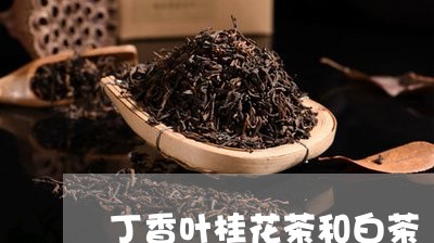 丁香叶桂花茶和白茶/2023081175070