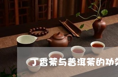 丁香茶与普洱茶的功效/2023072403149