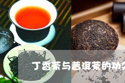 丁香茶与普洱茶的功效/2023092885038