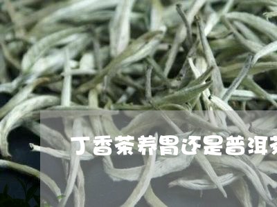 丁香茶养胃还是普洱茶/2023062586171