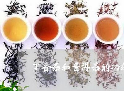 丁香茶和普洱茶的功效/2023061969794