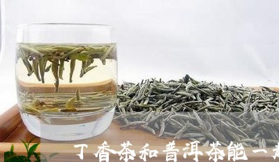 丁香茶和普洱茶能一起泡么/2023051115149