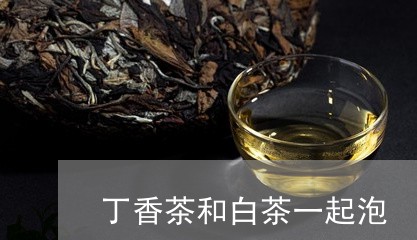 丁香茶和白茶一起泡/2023071463615