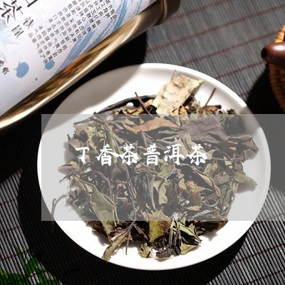 丁香茶普洱茶/2023042719109