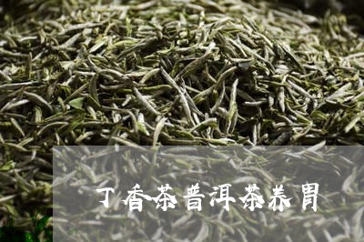 丁香茶普洱茶养胃/2023062770413