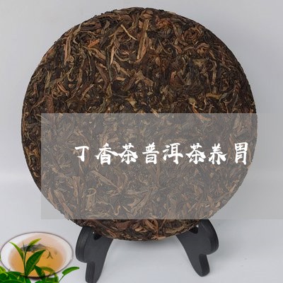 丁香茶普洱茶养胃/2023100850591