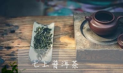 七上普洱茶/2023090613815