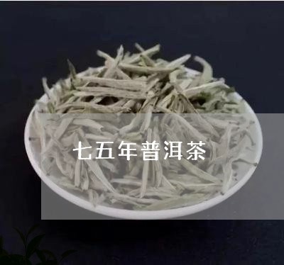 七五年普洱茶/2023042985468