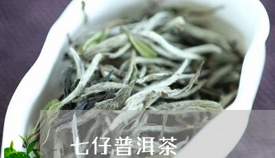 七仔普洱茶/2023090660694