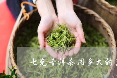 七克普洱茶用多大的壶/2023072391814