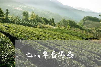 七八年普洱茶/2023042806394